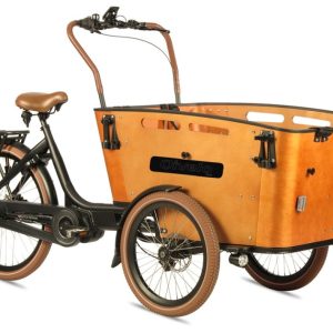 Qivelo Curve 3 – Bafang