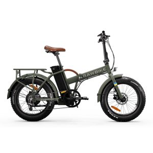 Rawbike Classic Elmoped